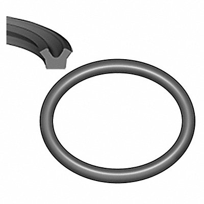 Dual Rod and Piston Seals image